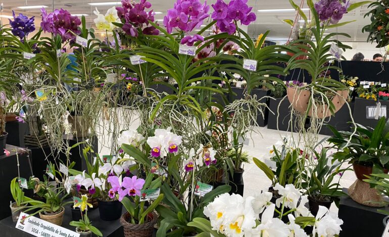 38ª Exposição Nacional de Orquídeas acontece neste fim de semana em Jaboticabal