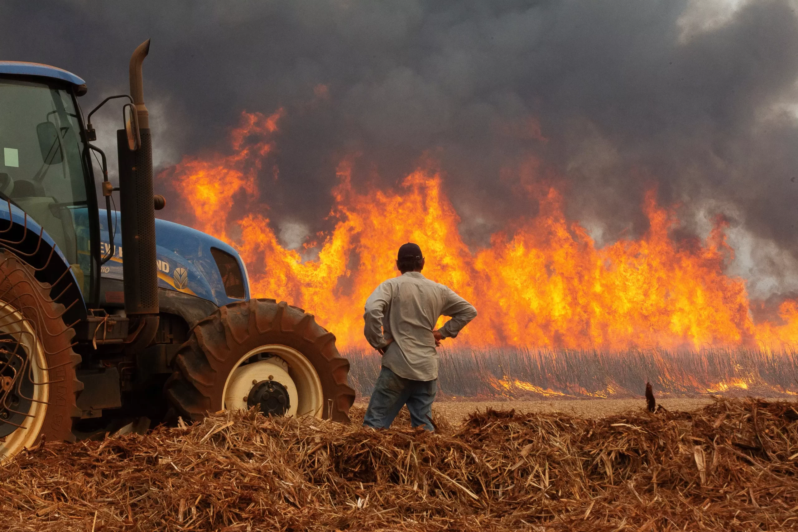 Incêndios param de avançar, mas estado de SP segue sob alerta para novos focos